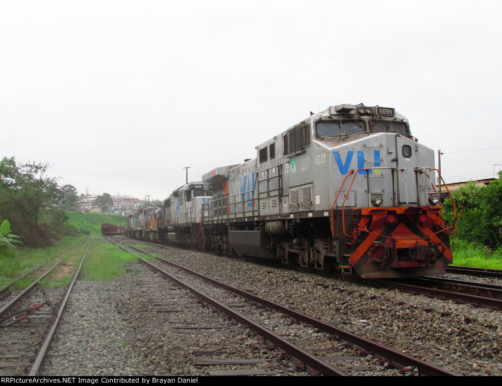 VLI 6031